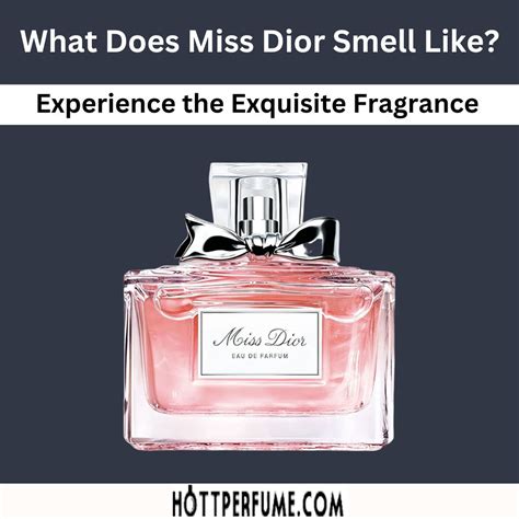 red miss dior|what does Miss Dior perfume smell like.